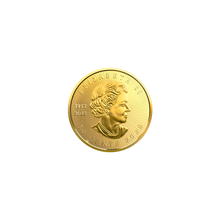 Load image into Gallery viewer, 1 gram gold coin
