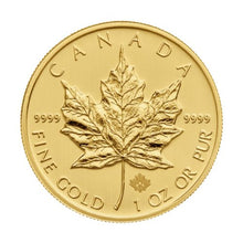 Load image into Gallery viewer, 1oz Gold Coin
