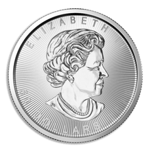 Load image into Gallery viewer, 1oz Platinum Coins
